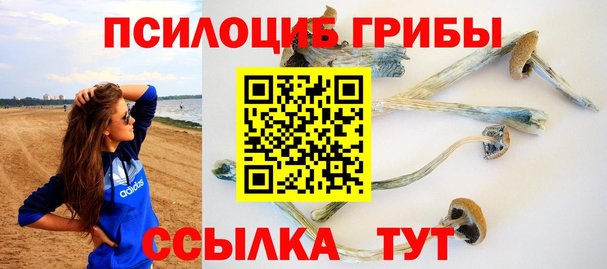 Галлюциногенные грибы Psilocybe Рузаевка