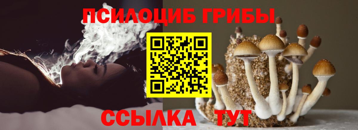 Рузаевка  продажа наркотиков  Вход с VPN  Галлюциногенные грибы прущие грибы 